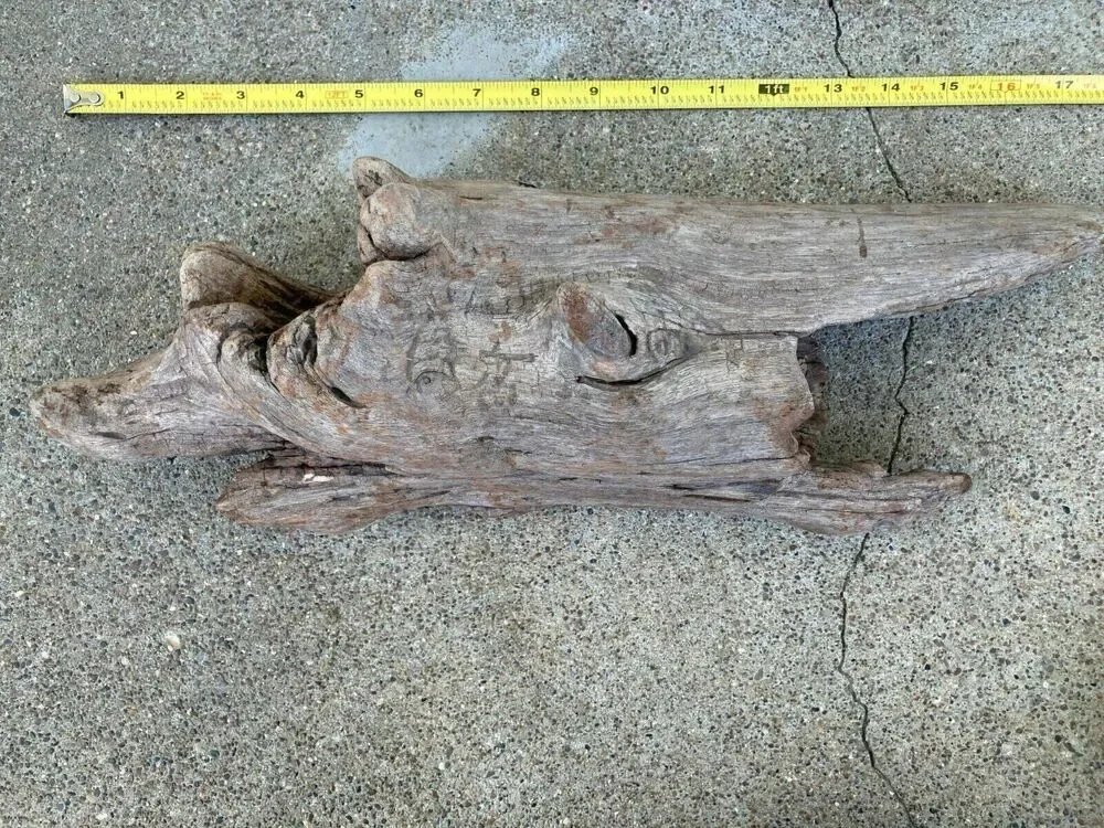 Ohio River Driftwood 17